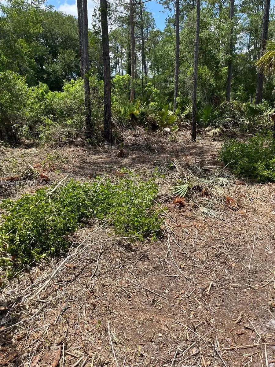 117 Lodge Pole Cir, Georgetown, FL 32139 - #3