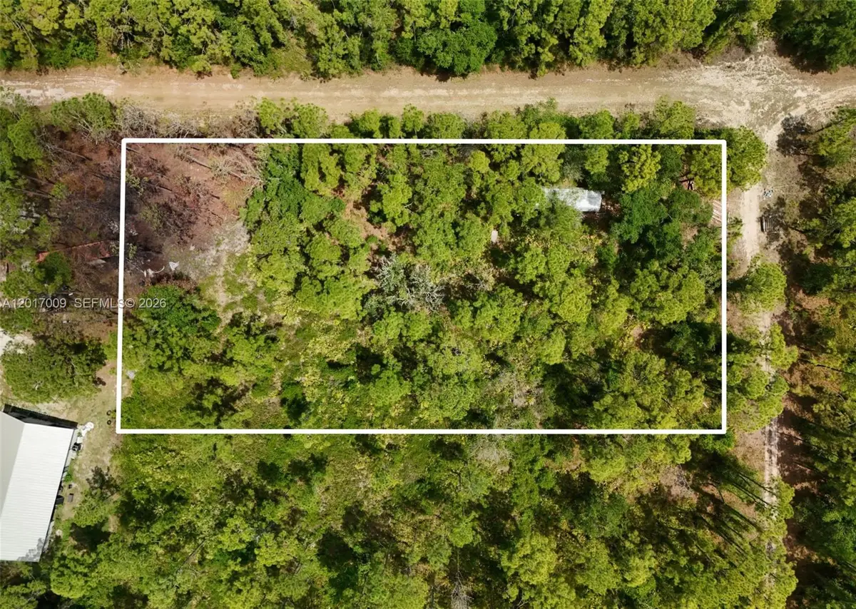 0 SW Nassau Ave, Arcadia East, FL 34266 - #1