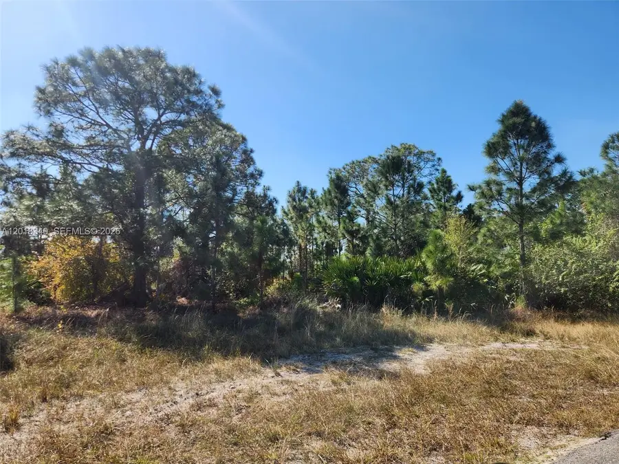 706 Johns Ave, Lehigh Acres, FL 33972 - #3