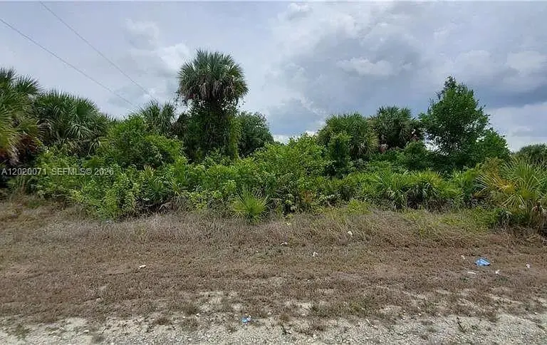 523 Montclair Ave S, Lehigh Acres, FL 33974 - #3