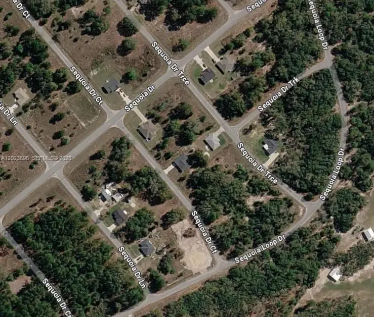 Lot 14 Sequoia Drive Court, Silver Springs Shores East, FL 32179 - #2