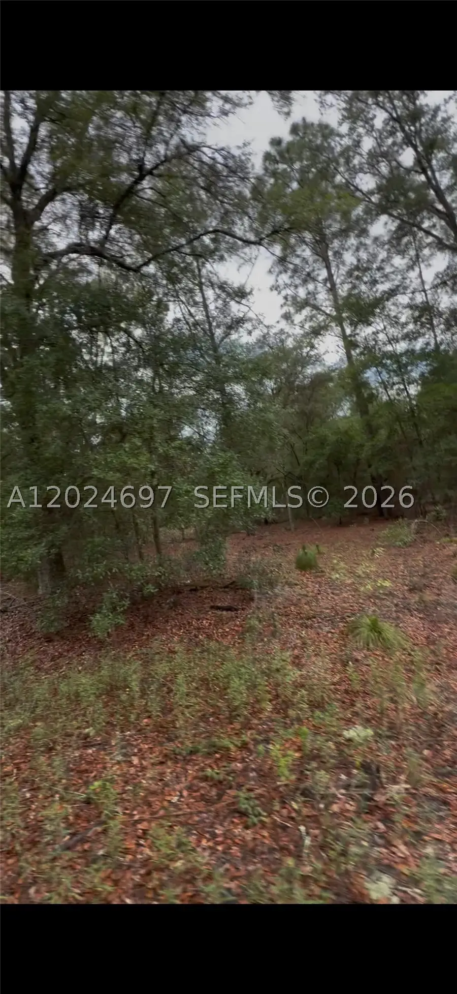 1699 SW 153 Ct, Ocala, FL 34481 - #2