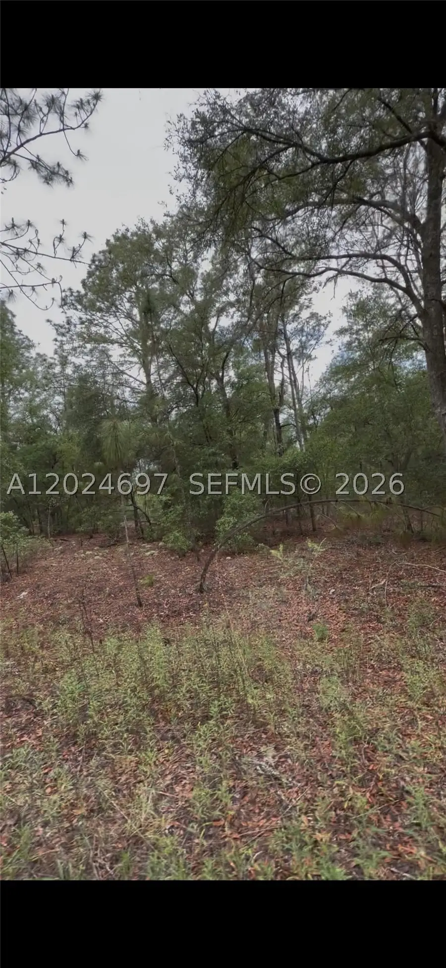 1699 SW 153 Ct, Ocala, FL 34481 - #3