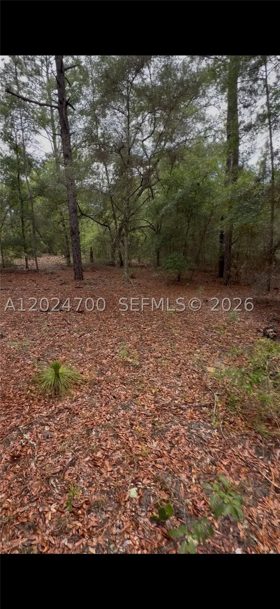 1373 SW 153rd Ave, Ocala, FL 34481 - #2