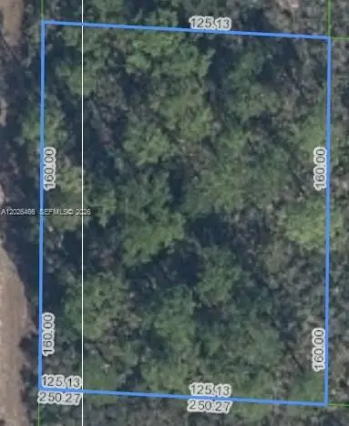 1139 Brook Hollow Rd, Lake Placid, FL 33852