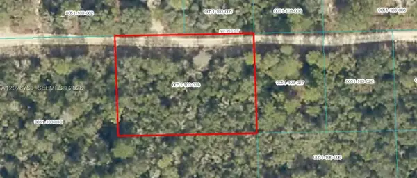 TBD NE 236, Other, FL 32134
