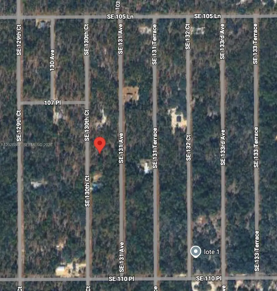 Lot 49 SE 130th Ct, Rainbow Lakes Estates, FL 34431 - #3