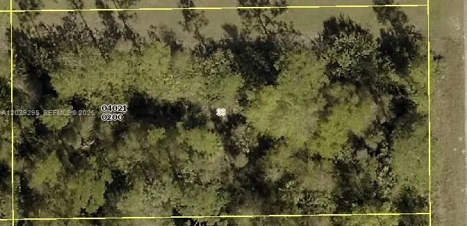 915 Acacia Ave, Lehigh Acres, FL 33972 - #1