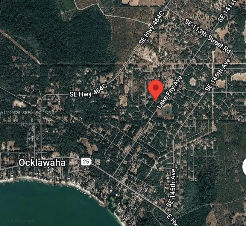 n/a SE Magnolia Drive Ln, East Marion, FL 32179 - #1