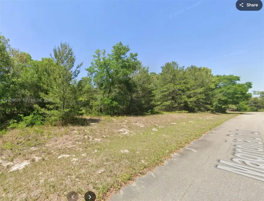 n/a SE Magnolia Drive Ln, East Marion, FL 32179 - #3