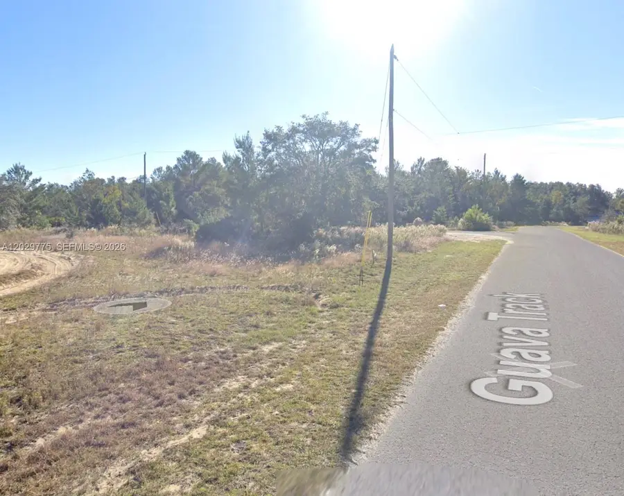 n/a Fisher Run Trace, East Marion, FL 32179 - #2