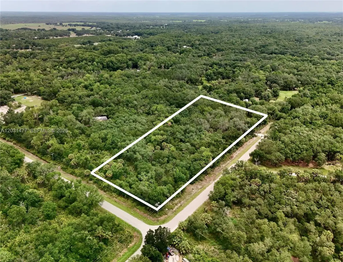 2963 SW Armadillo Trl, Arcadia, FL 34266 - #1