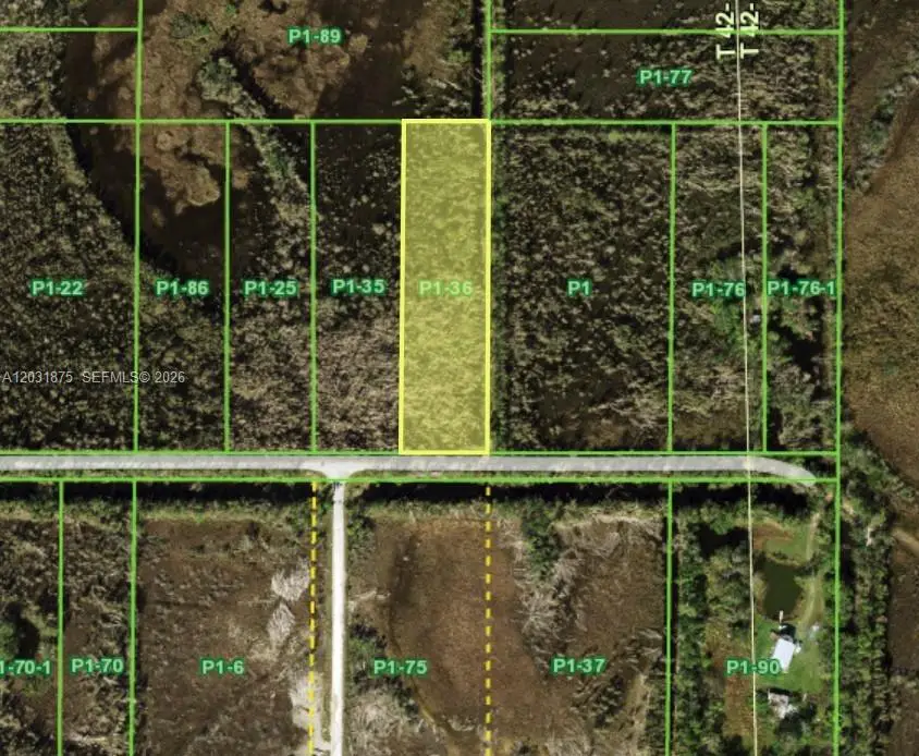 Oil Well, Punta Gorda, FL 233955 - #1