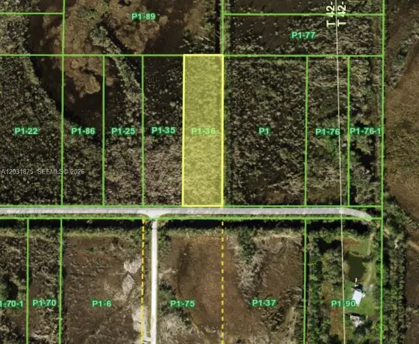 Oil Well, Punta Gorda, FL 233955