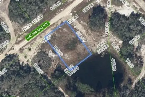 517 Dreamland Ave, Lake Placid, FL 33852 - #1