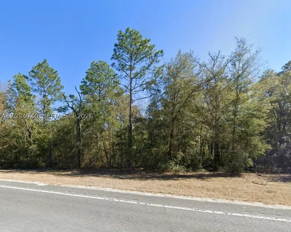 Lot 2 Str 121, Williston, FL 32696 - #1