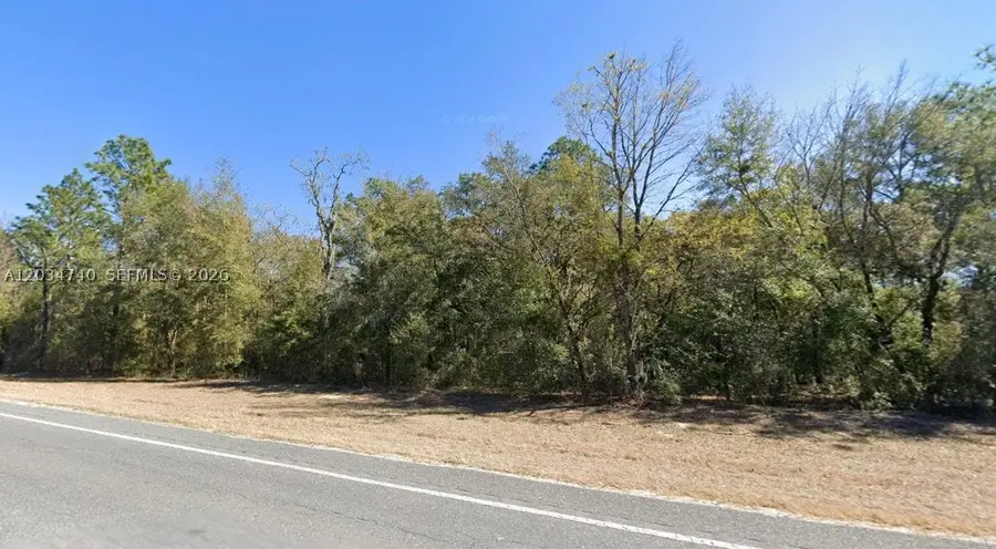 Lot 2 Str 121, Williston, FL 32696 - #3