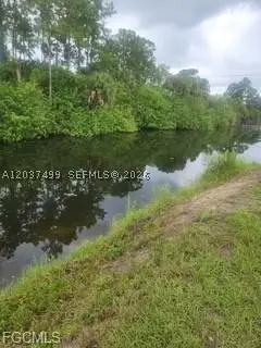439 Naples Ave S, Lehigh Acres, FL 33974 - #3
