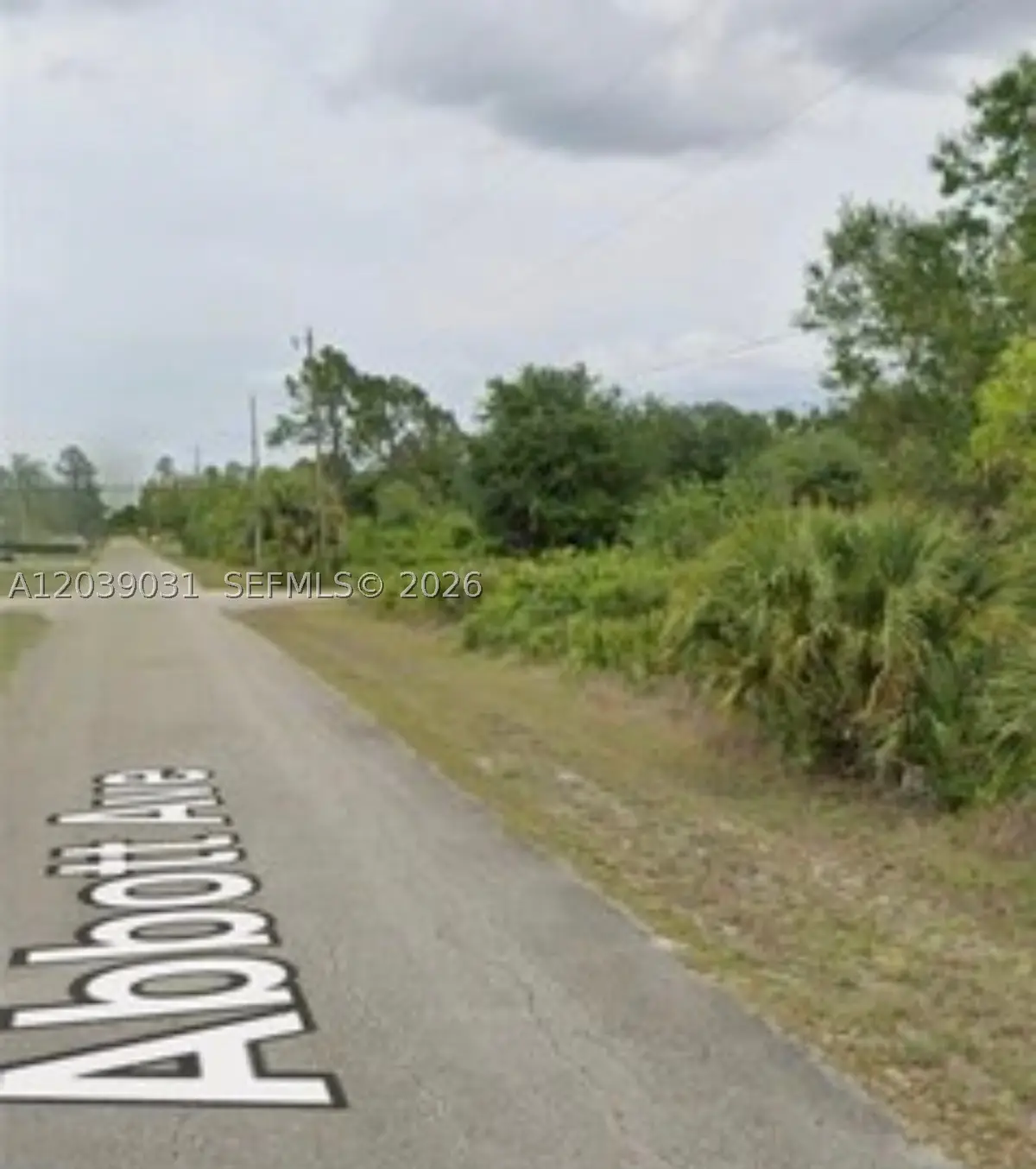 220 NE Abbott Ave, Lehigh Acres, FL 33936 - #1