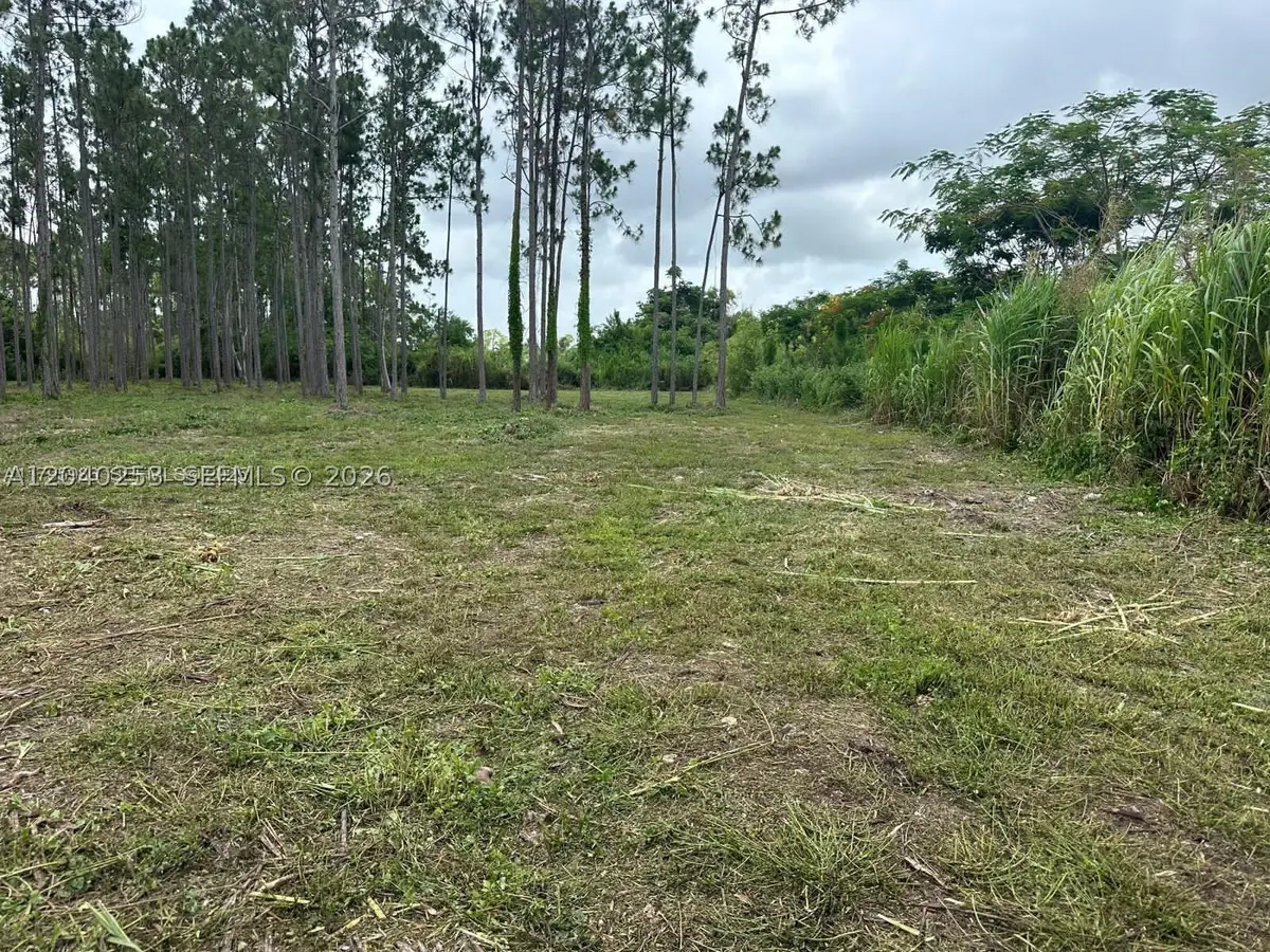 19440 232 St, Homestead, FL 33034 - #1