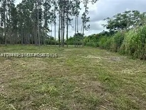 19440 232 St, Homestead, FL 33034 - #3
