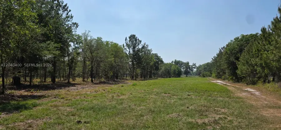 xx SE 225th Dr, Hawthorne, FL 32640 - #2