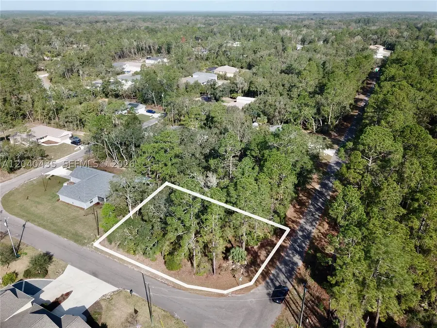 Lot Nearby Fisher Run (0.40 Acres), Ocklawaha, FL 32179 - #2