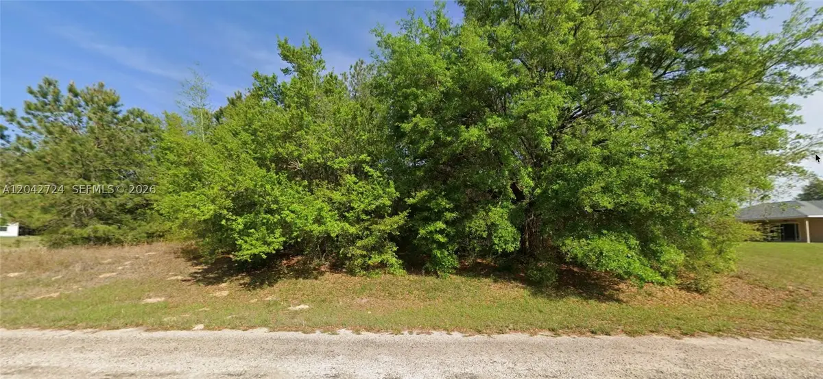 689 E Hope Pl, Citrus Springs, FL 34434 - #1
