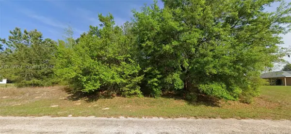 689 E Hope Pl, Other, FL 34434
