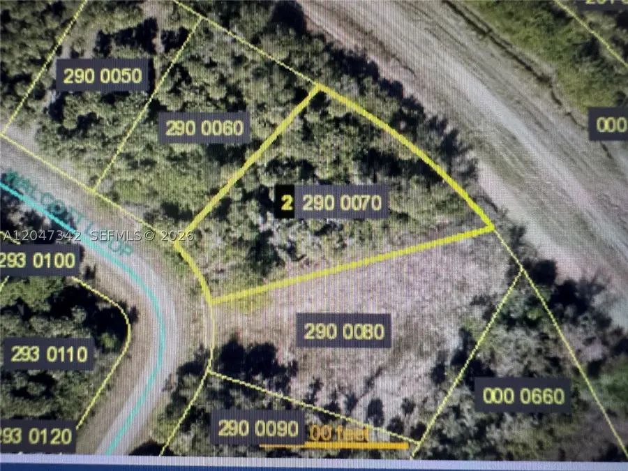 1991 Walcott Loop, Lehigh Acres, FL 33972 - #2
