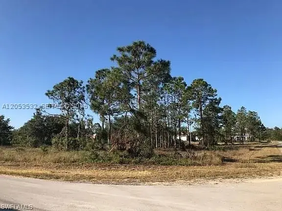 726 S Gaylord Avenue, Lehigh Acres, FL 33974 - #3
