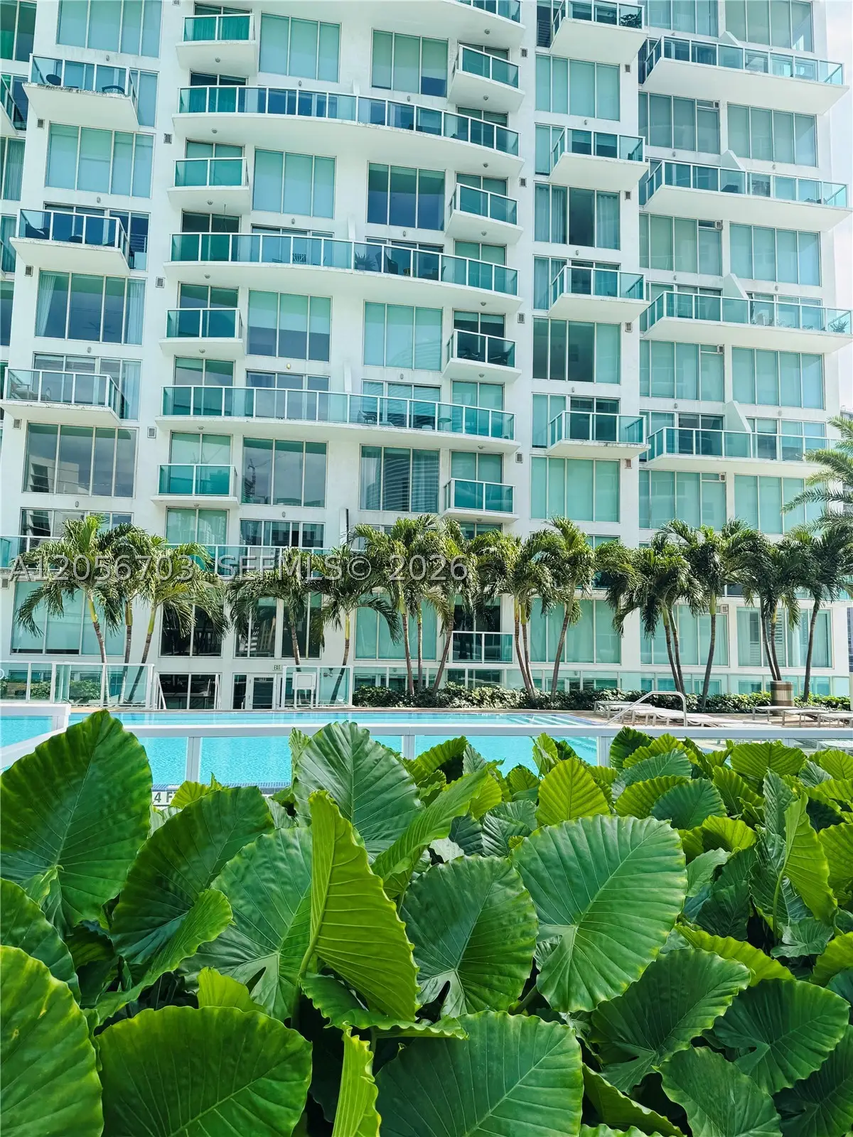 41 SE 5th #2204, Miami, FL 33131 - #1