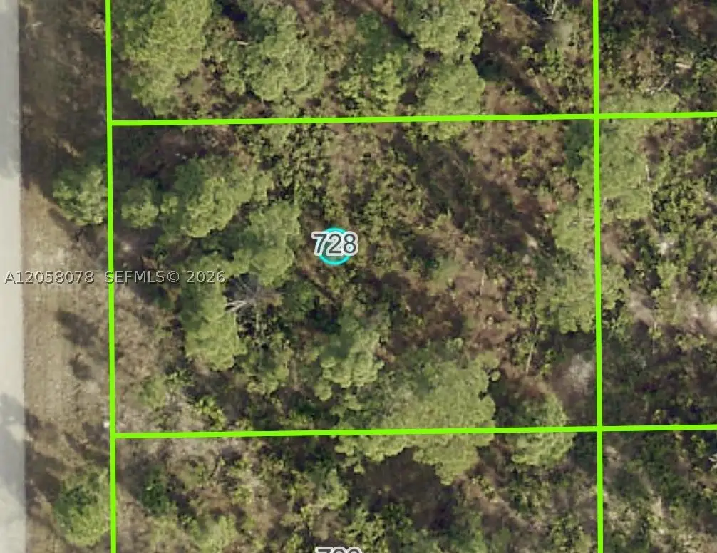 728 Pinecastle Dr, Lehigh Acres, FL 33974 - #1