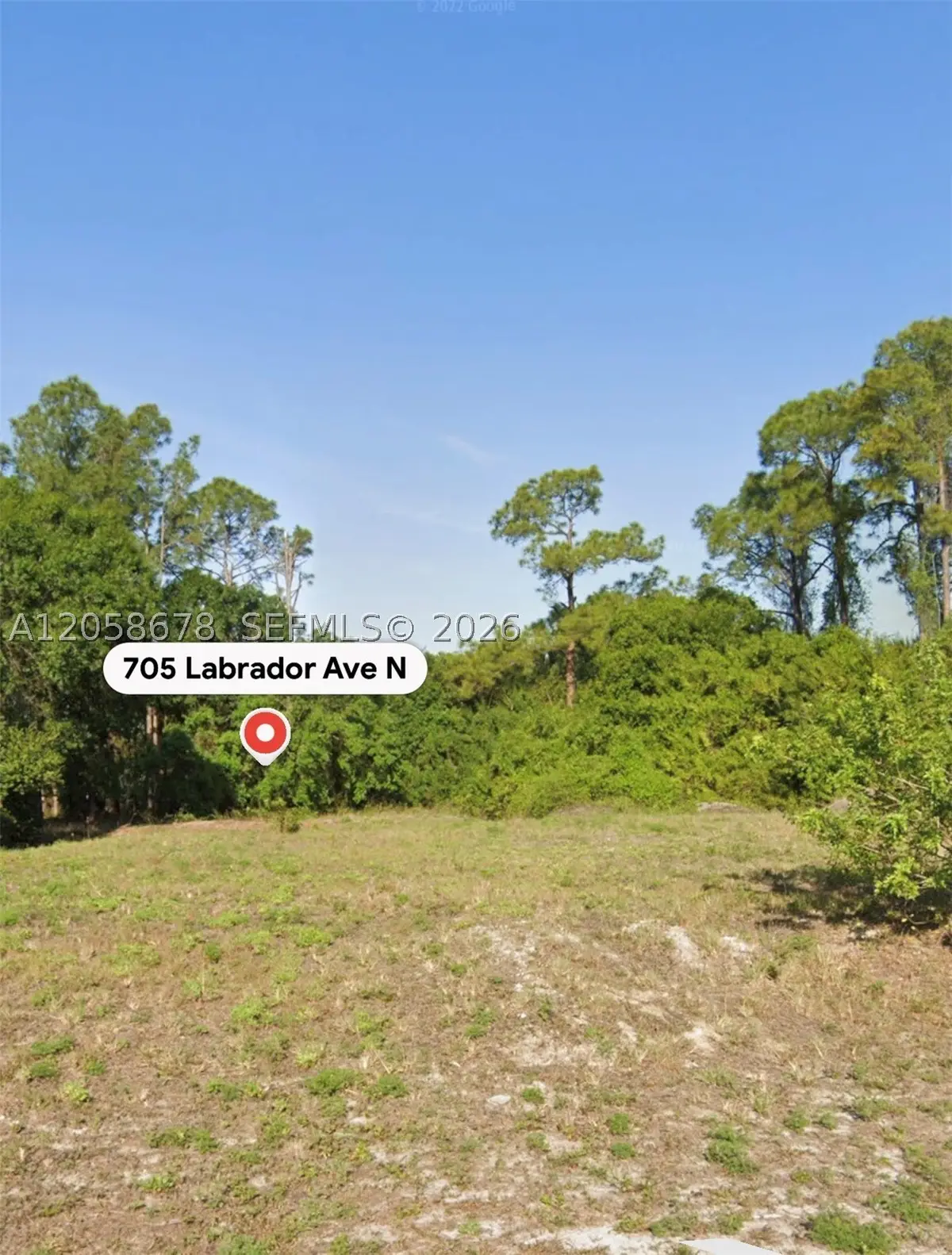 705 Labrador Ave N, Lehigh Acres, FL 33971 - #1