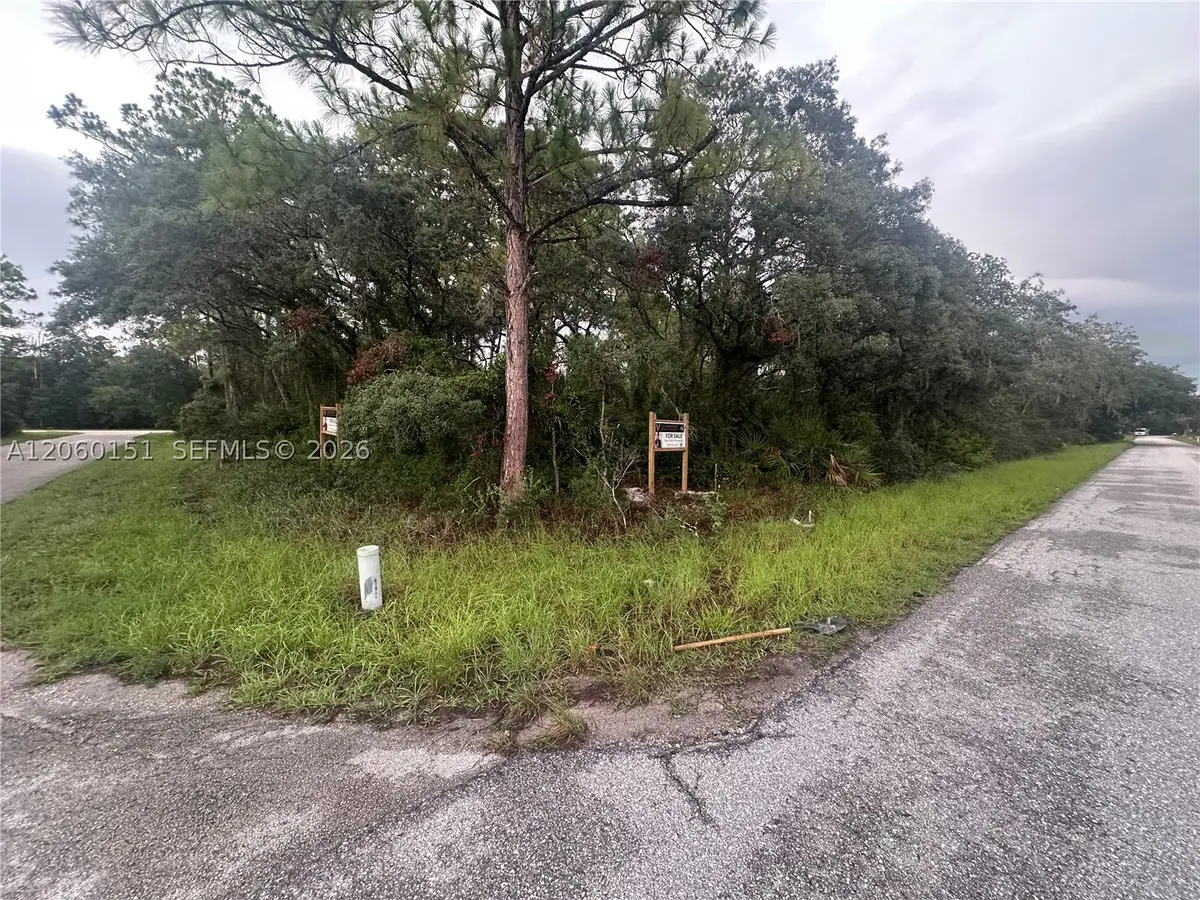 3362 Gossamer Ave, Lake Placid, FL 33852 - #1