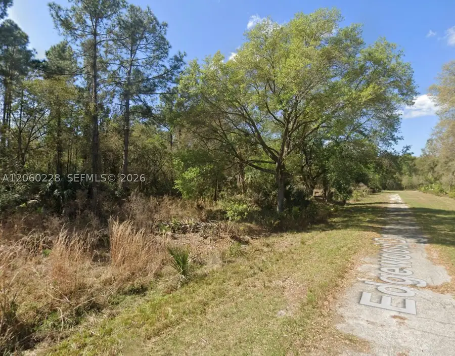 W Edgewood Dr, Georgetown, FL 32139 - #3
