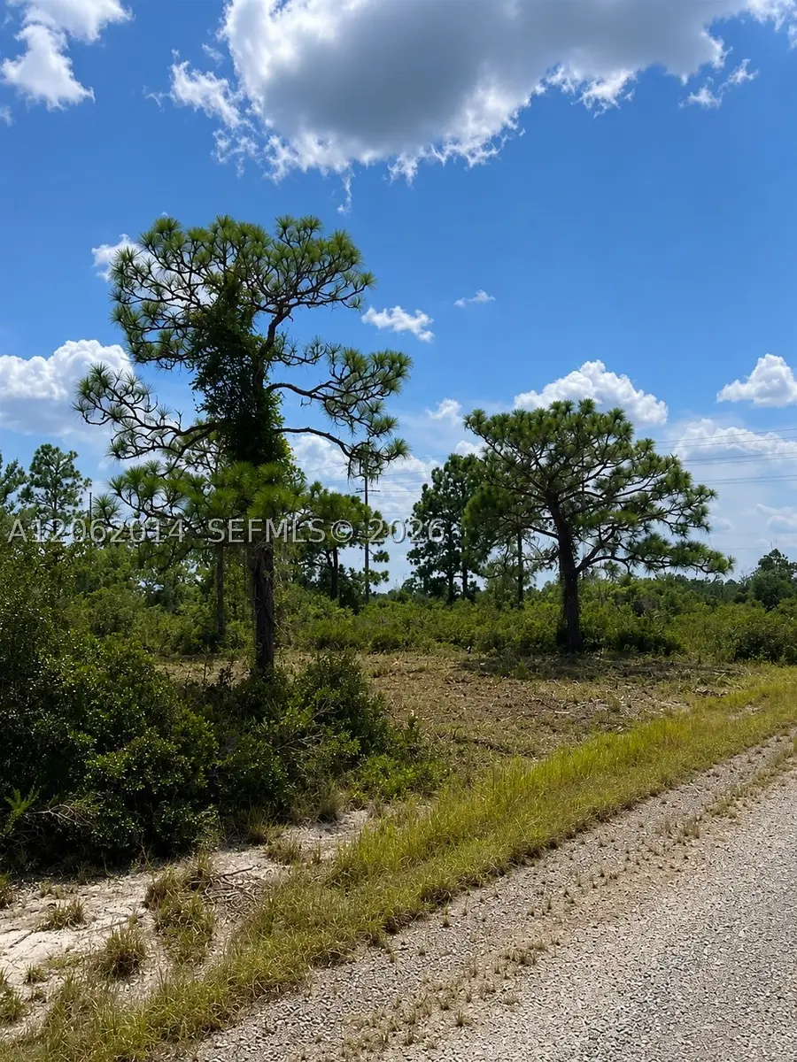 3554 Mariana Ave, Lake Placid, FL 33852 - #3