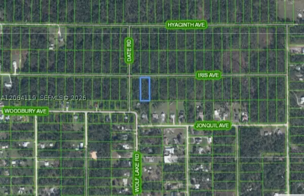 1141 Iris Ave, Sebring, FL 33875