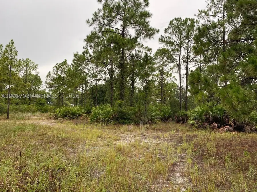 2321 Macarthur Ave, Alva, FL 33920 - #3