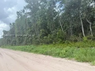 00 Range Line, Middleburg, FL 32068 - #2