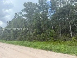 00 Range Line, Middleburg, FL 32068 - #3