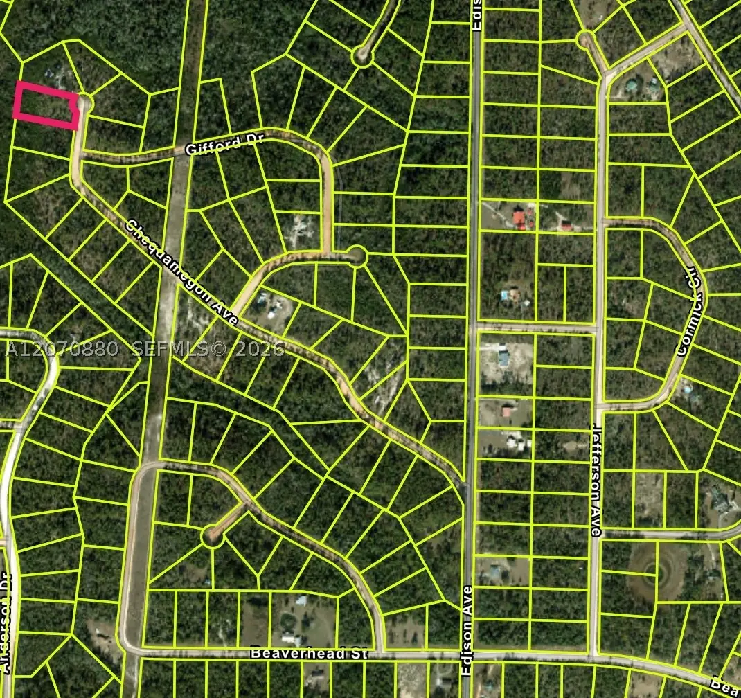 0 Chequamegon Ave, Alford, FL 32420 - #1