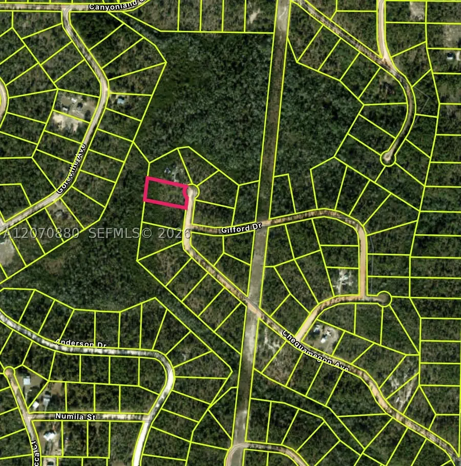 0 Chequamegon Ave, Alford, FL 32420 - #3
