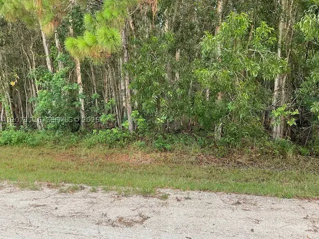 82nd St N, The Acreage, FL 33412 - #1