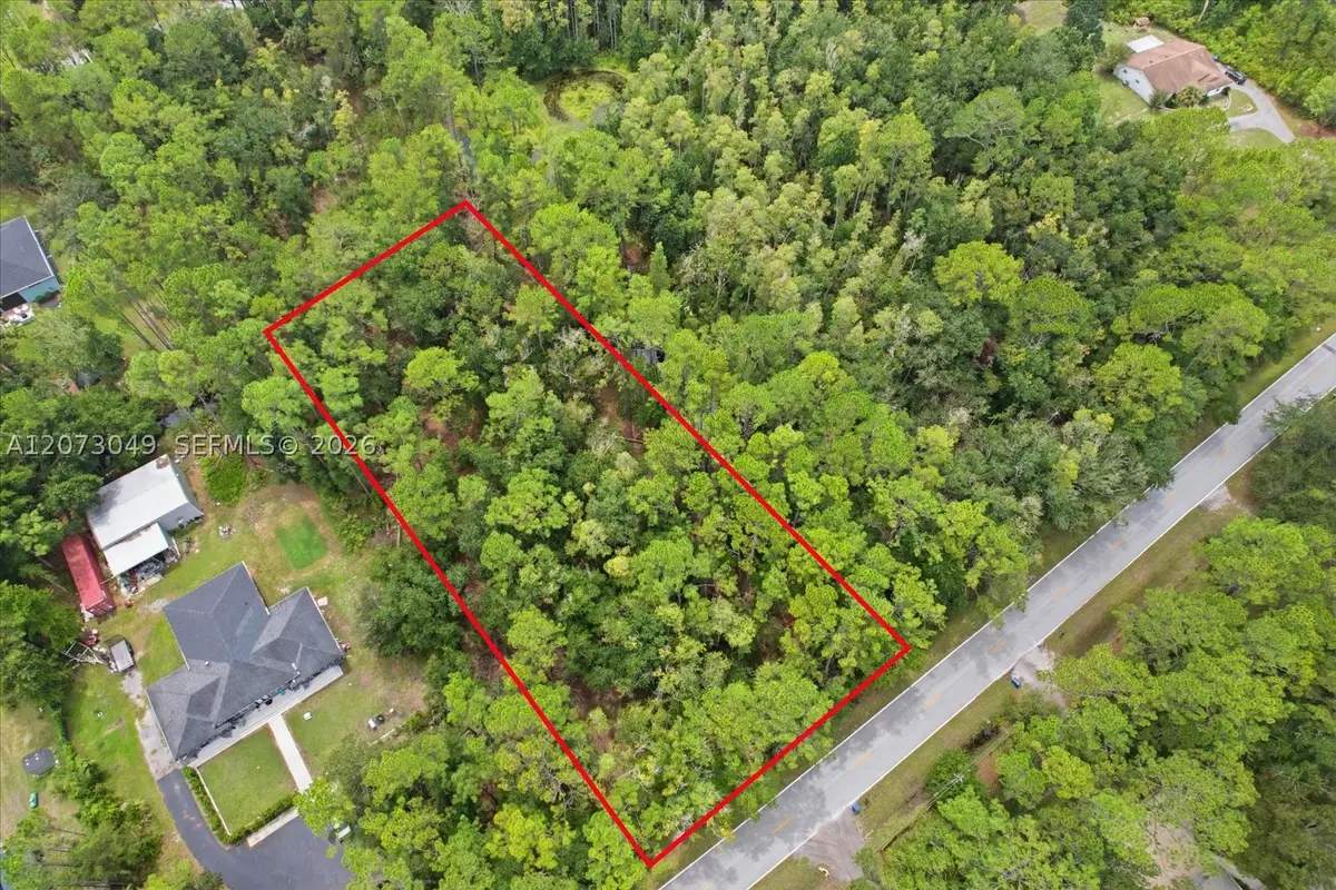 Lot 133 Green Willow Run, Central Pasco, FL 33544 - #1