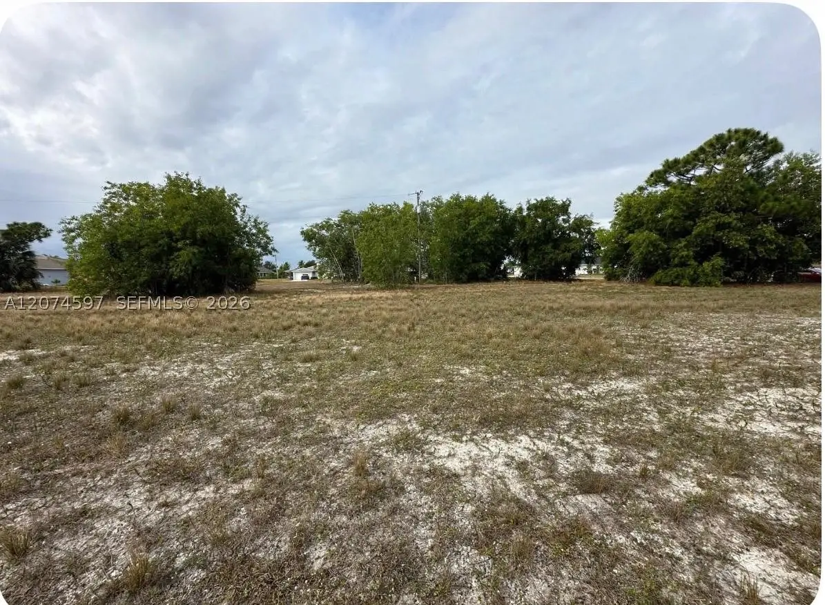 806 Skyline, Cape Coral, FL 33991 - #1