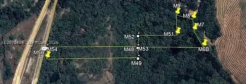 Km 7 #52-60 Via Neiva - Bogota, Palermo, FL 412001