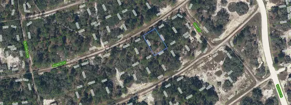 387 Showboat Ave, Lake Placid, FL 33852