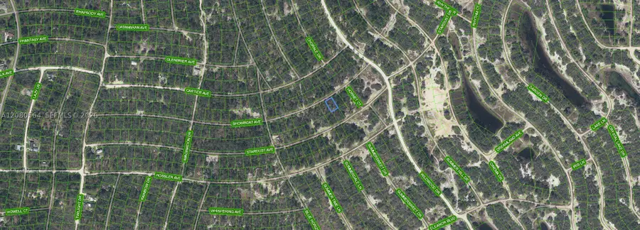 387 Showboat Ave, Lake Placid, FL 33852 - #2
