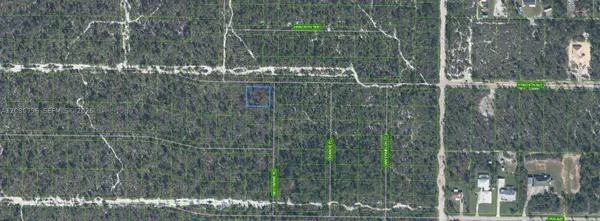 1307 Hyacinth Ave, Sebring, FL 32303